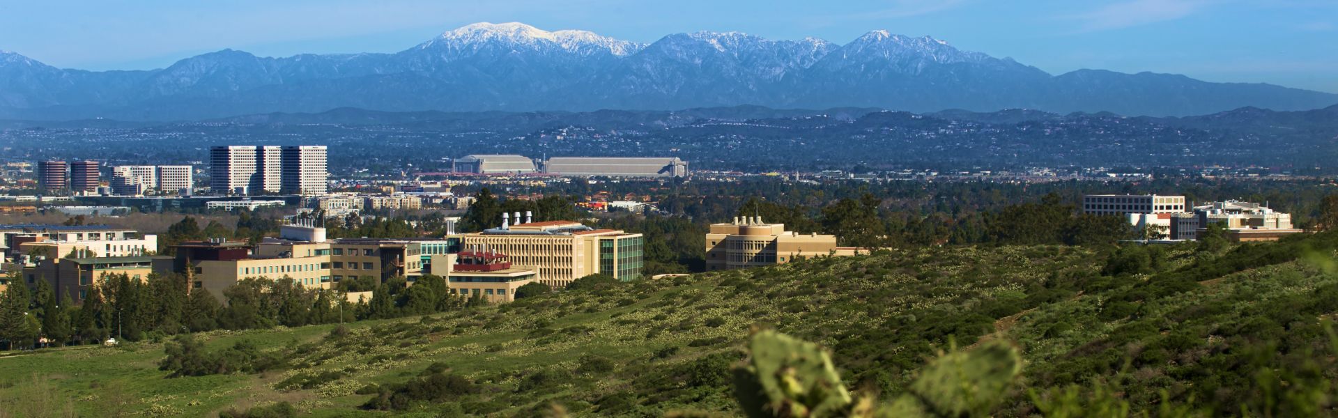 UCI campus in Orange County